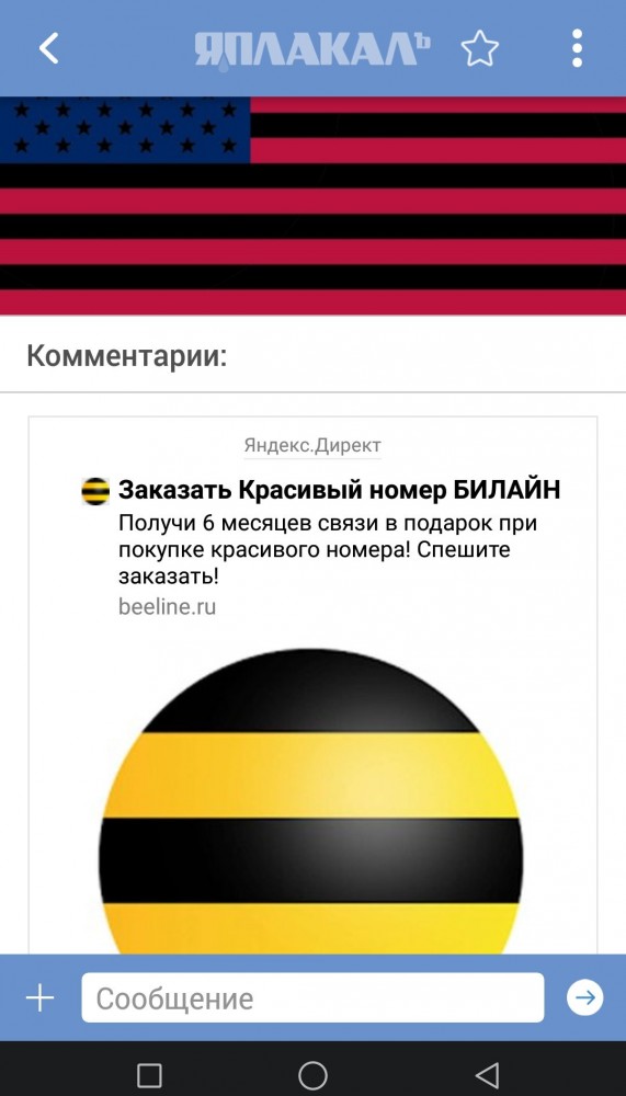Новый флаг США