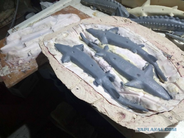 Изготовление декоративного панно "Осетровые"