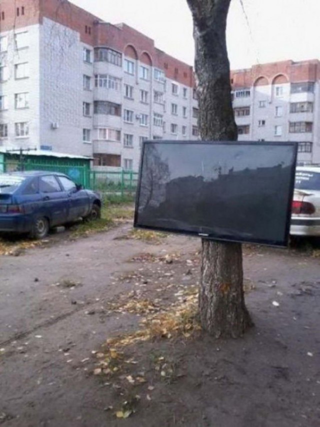 Факты, о которых вы не знали