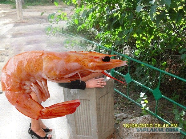 Что она там увидела