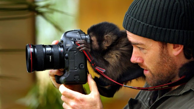 Пост шедевральной милоты: как любопытные животные мешают фотографам