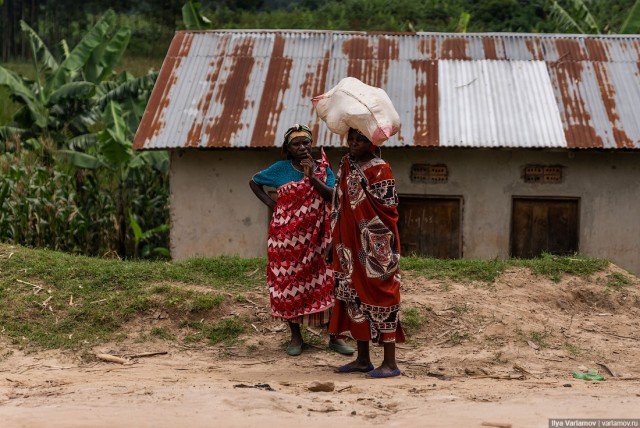 Уганда: самая настоящая Африка с гориллами и носорогами!