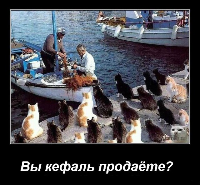 Теперь я в курсе о чём речь! Олдскулы поймут