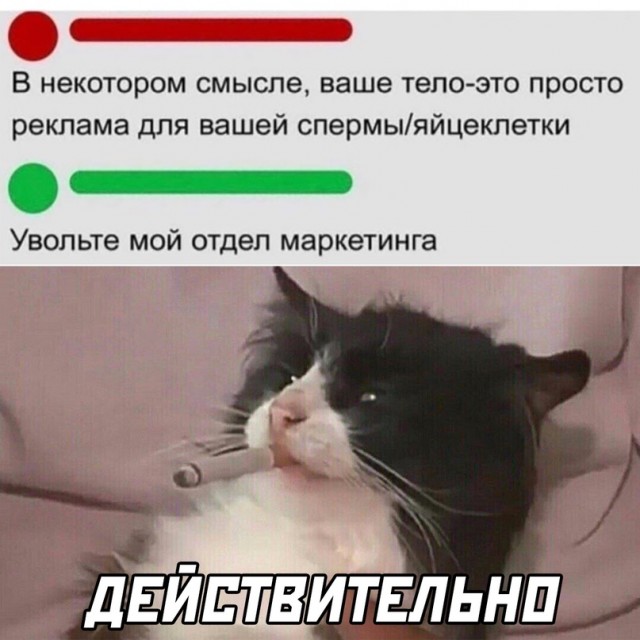 Весёлый полтишок 09.10