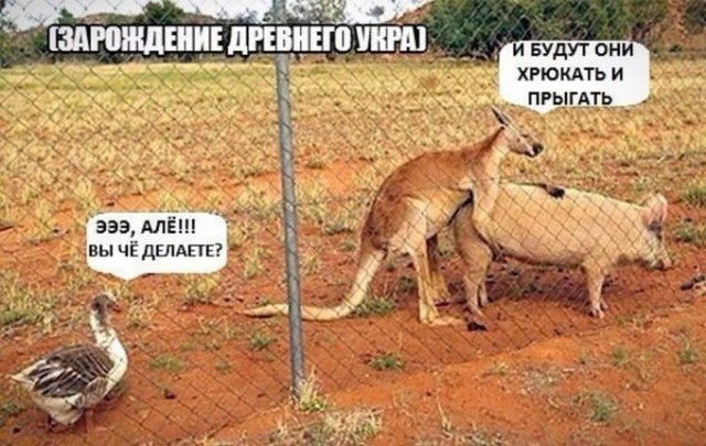 Новое в исторической науке