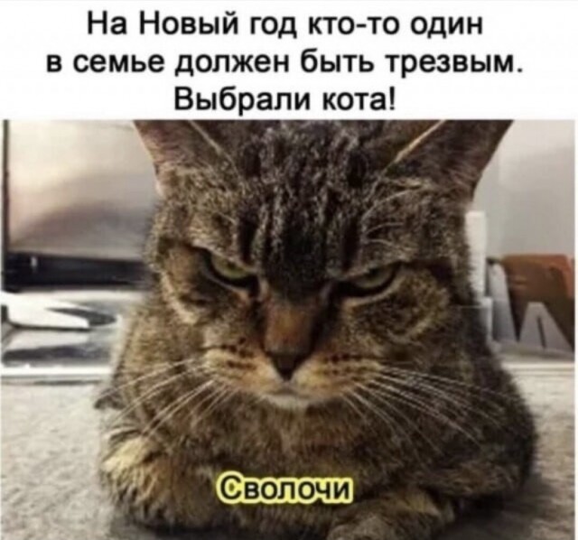 Картинки и мемы для настроения