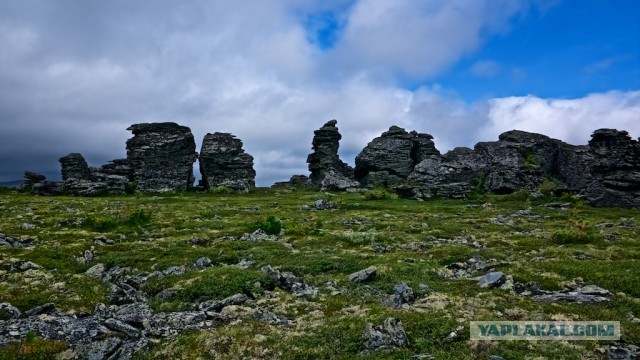 Болваны, я восьмой