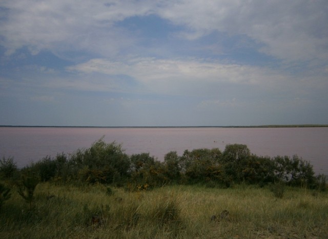 Мой Алтай