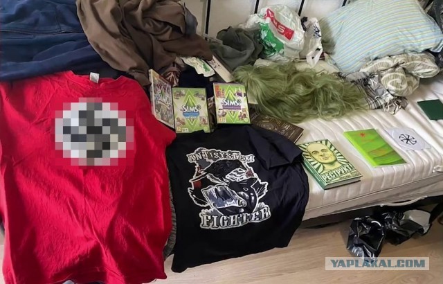 ФСБ задержала группу членов неонацистской террористической организации, планировавших убийство Соловьева