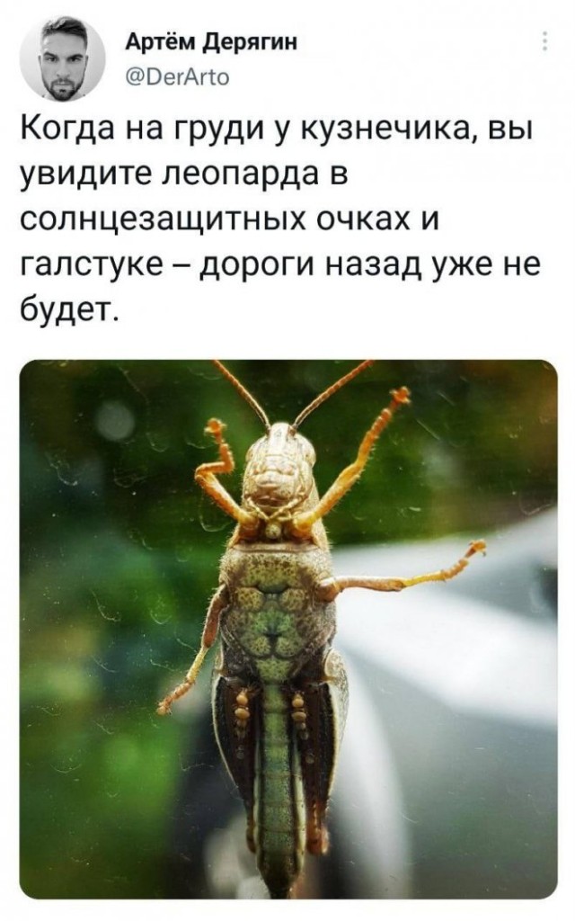 Так себе картинки 19.05.22