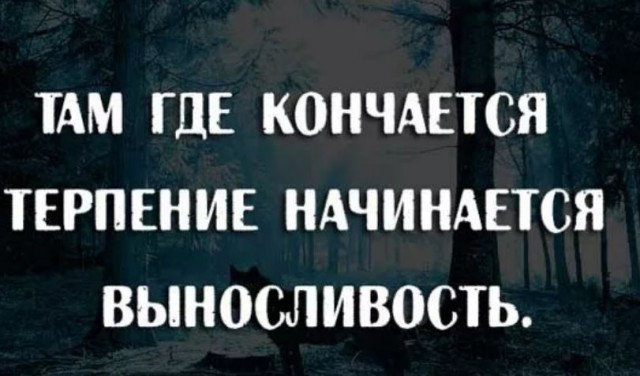 Победная поступь идиотизма по планете – том 4
