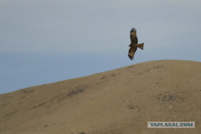 В Монголию на мотоциклах 2006