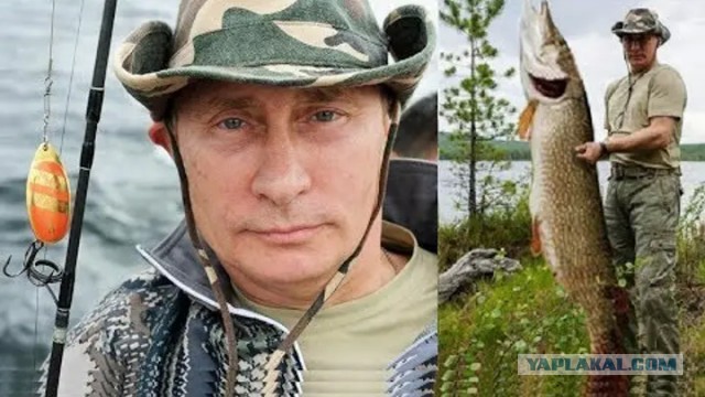Самые большие речные рыбы в России