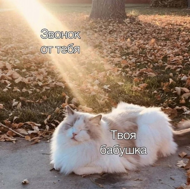 Нуштош 30.04.2023