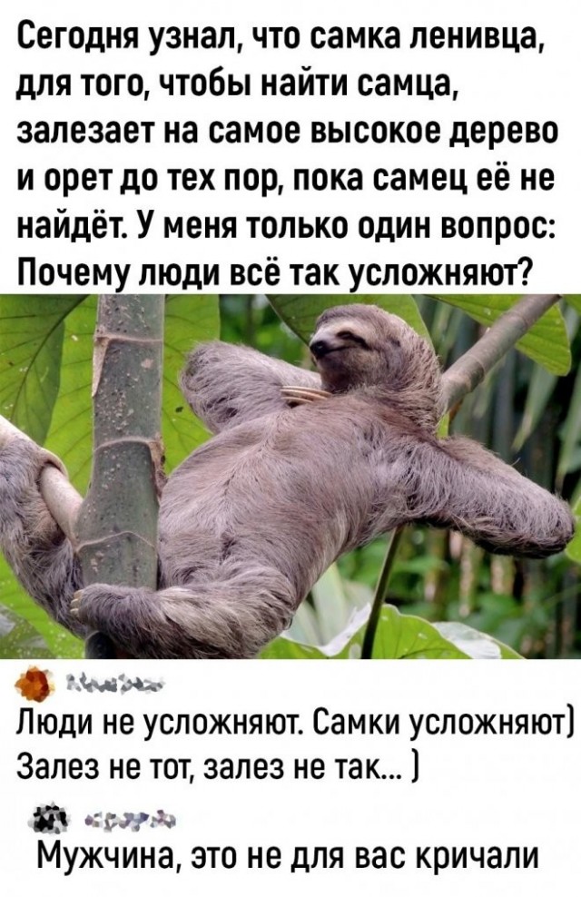 Доставка баянов