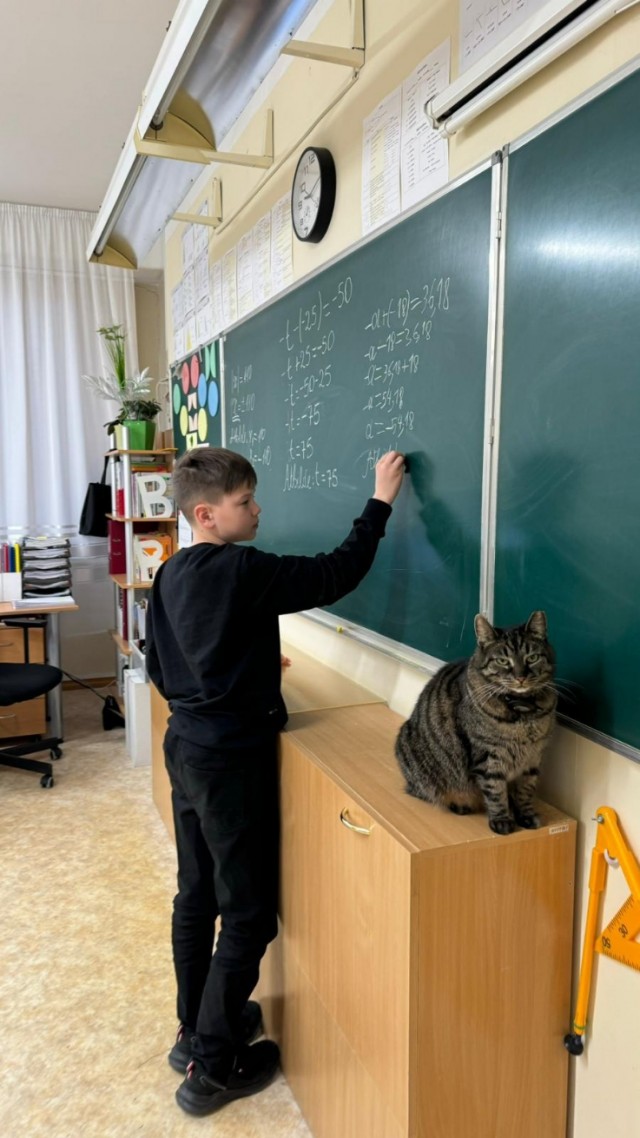 Котовторник 09.04.24