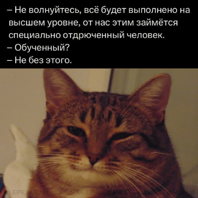 19138606.jpg