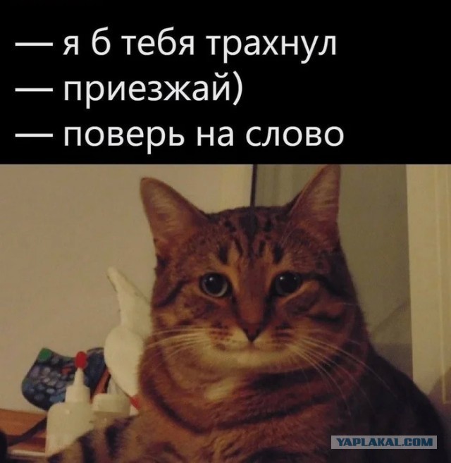 Почему ты меня не добивался?