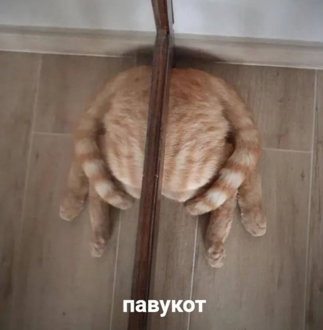 Завалялось тут случайно немного забавных картинок