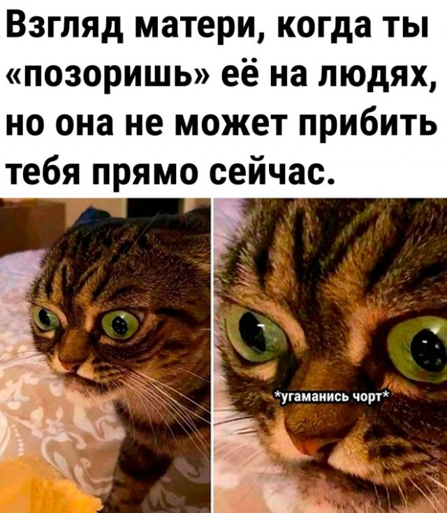 Веселые картинки в понедельник (24.02)