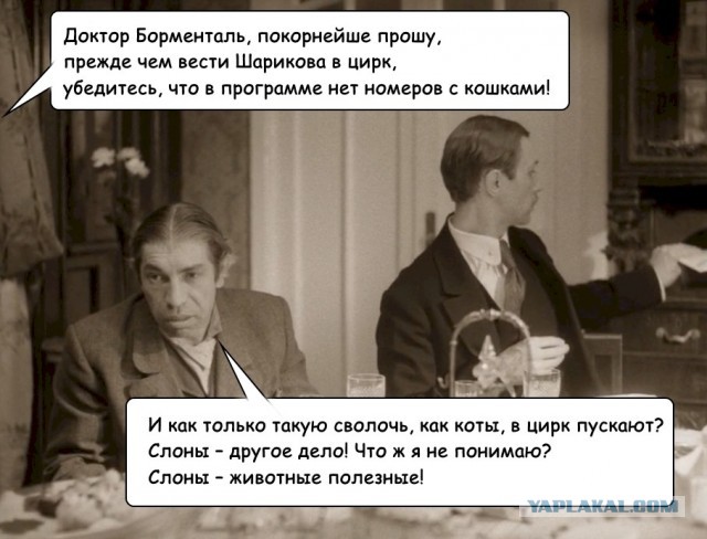 Росгосцирк впервые стал партнером ПМЭФ