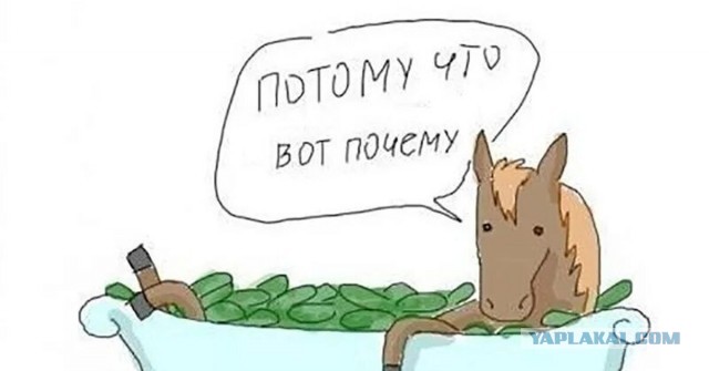 Как придумывали грамматику русского языка
