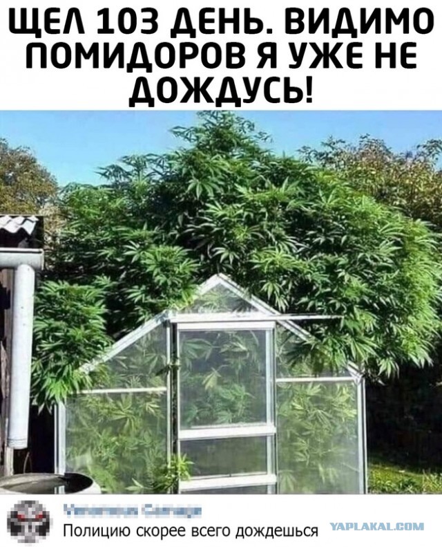 Вот незадача то какая