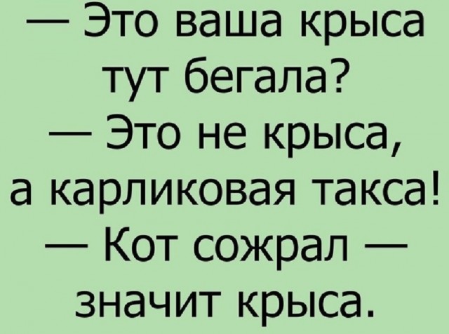 Так себе картинки 26.09.25
