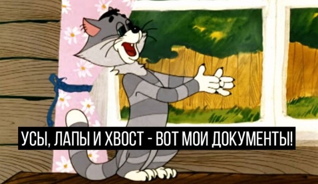 Усы, лапы и хвост его документы