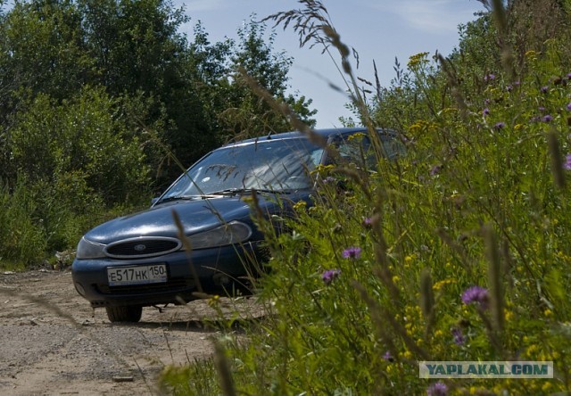 Фото бывших