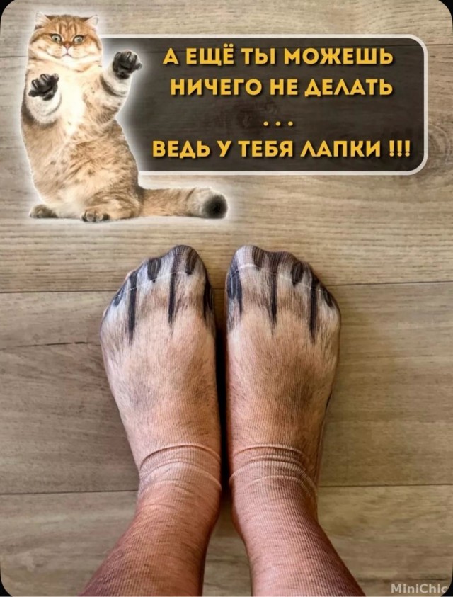 Пятницы картинки