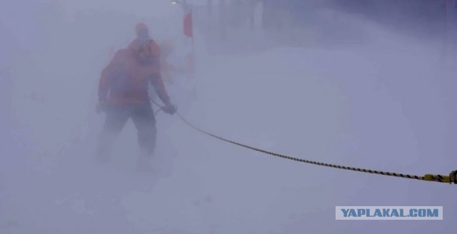 Москву накрыл новый мощный снежный циклон 