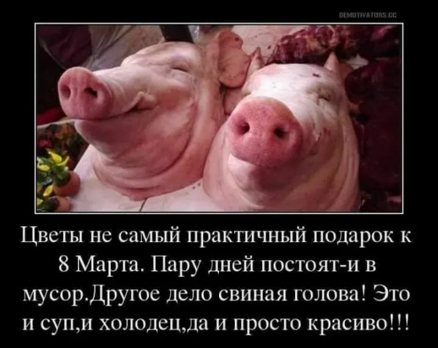 Я нагнул всех. Вообще не покупал цветы