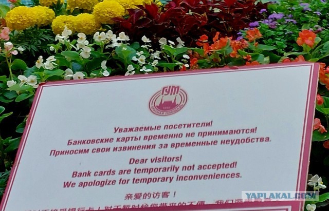 В ГУМе открылось семейное кафе «Простоквашино» в год 90-летнего юбилея «Союзмультфильма»