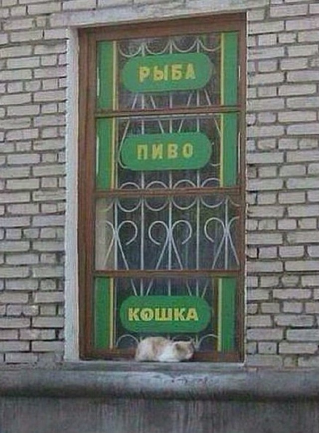 Так себе картинки 19.06.26