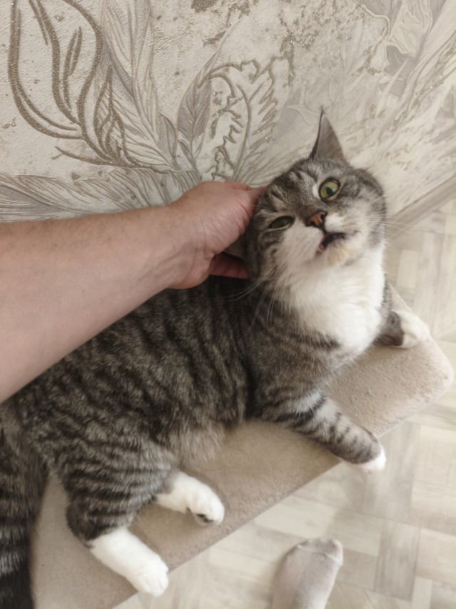 Чесалка.