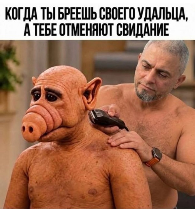 Картинки для деградации 281 (разной степени свежести)