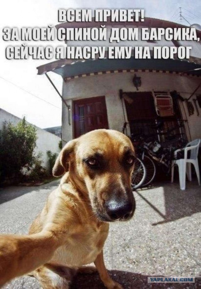 Джонни Кэтсвилл