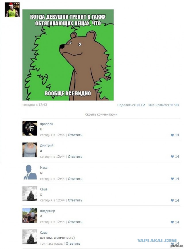 Медведи почти на все случаи жизни