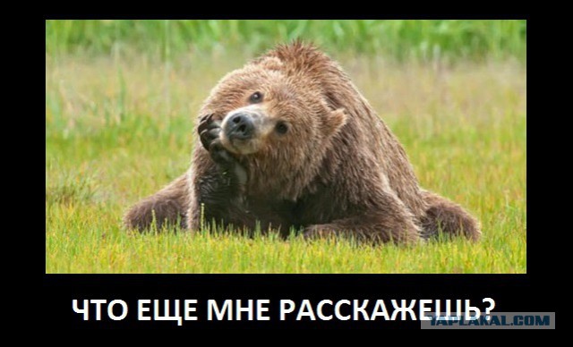 Делаете ли вы свом детям прививки?