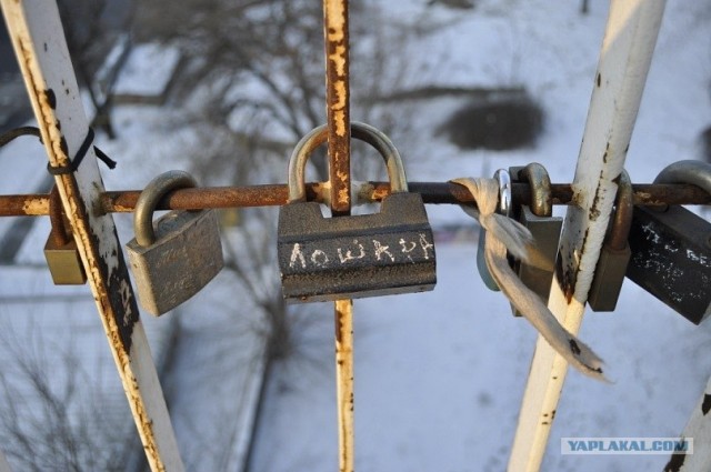 Совет да любовь