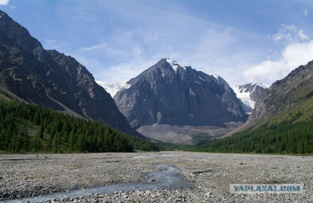 Алтай
