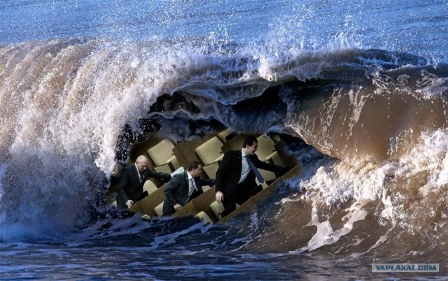 Кнопкодавы