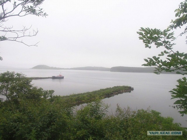 Никому не должен...