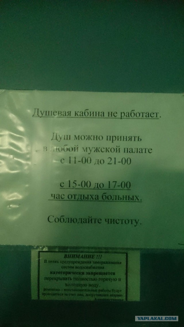 Бессмысленные и беспощадные объявления, вывески и реклама