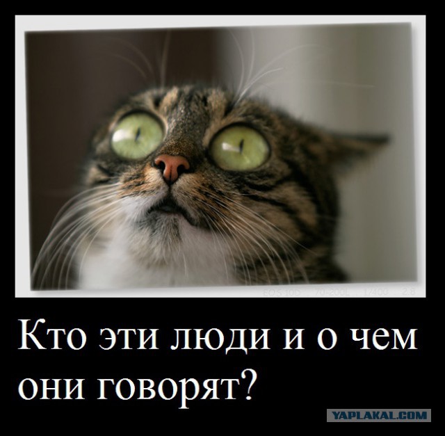 Скандал в эфире "Дождя"