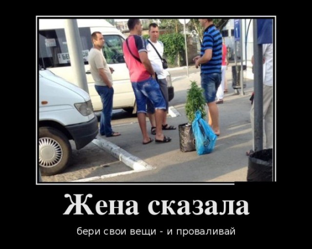Картинки из сети