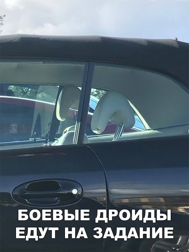 Нестандартный юмор