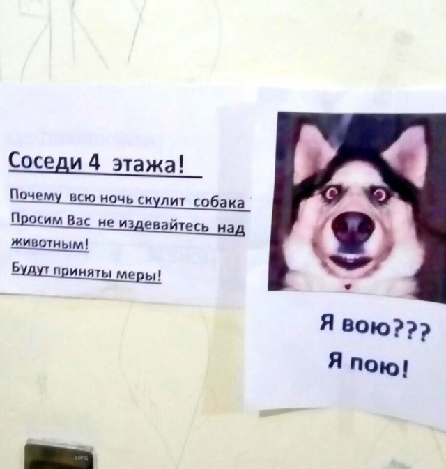 Смешные объявления, надписи и вывески