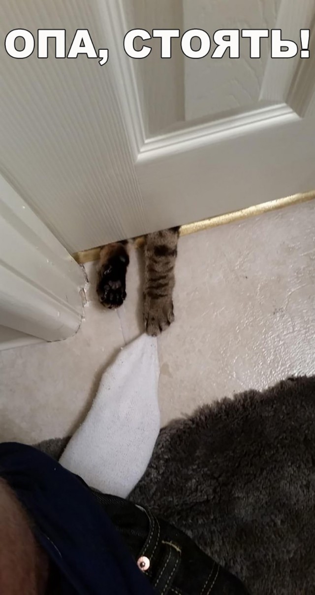 Нестандартный юмор